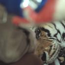 StillCut_11