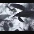 StillCut_15