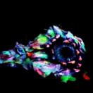 StillCut_0