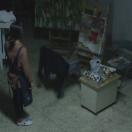 StillCut_0