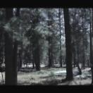 StillCut_5
