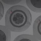 StillCut_2