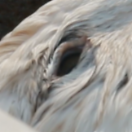 StillCut_1