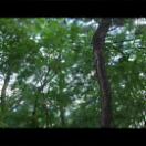 StillCut_1