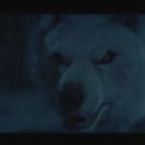 StillCut_10