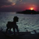 StillCut_17