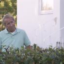 StillCut_0