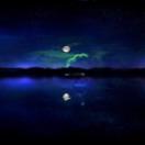 StillCut_1