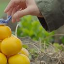 StillCut_0