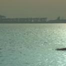 StillCut_4