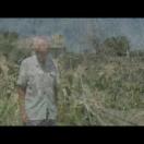 StillCut_1