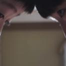 StillCut_1