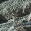 StillCut_4