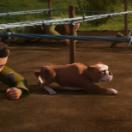StillCut_9