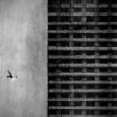 StillCut_2