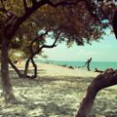 StillCut_18