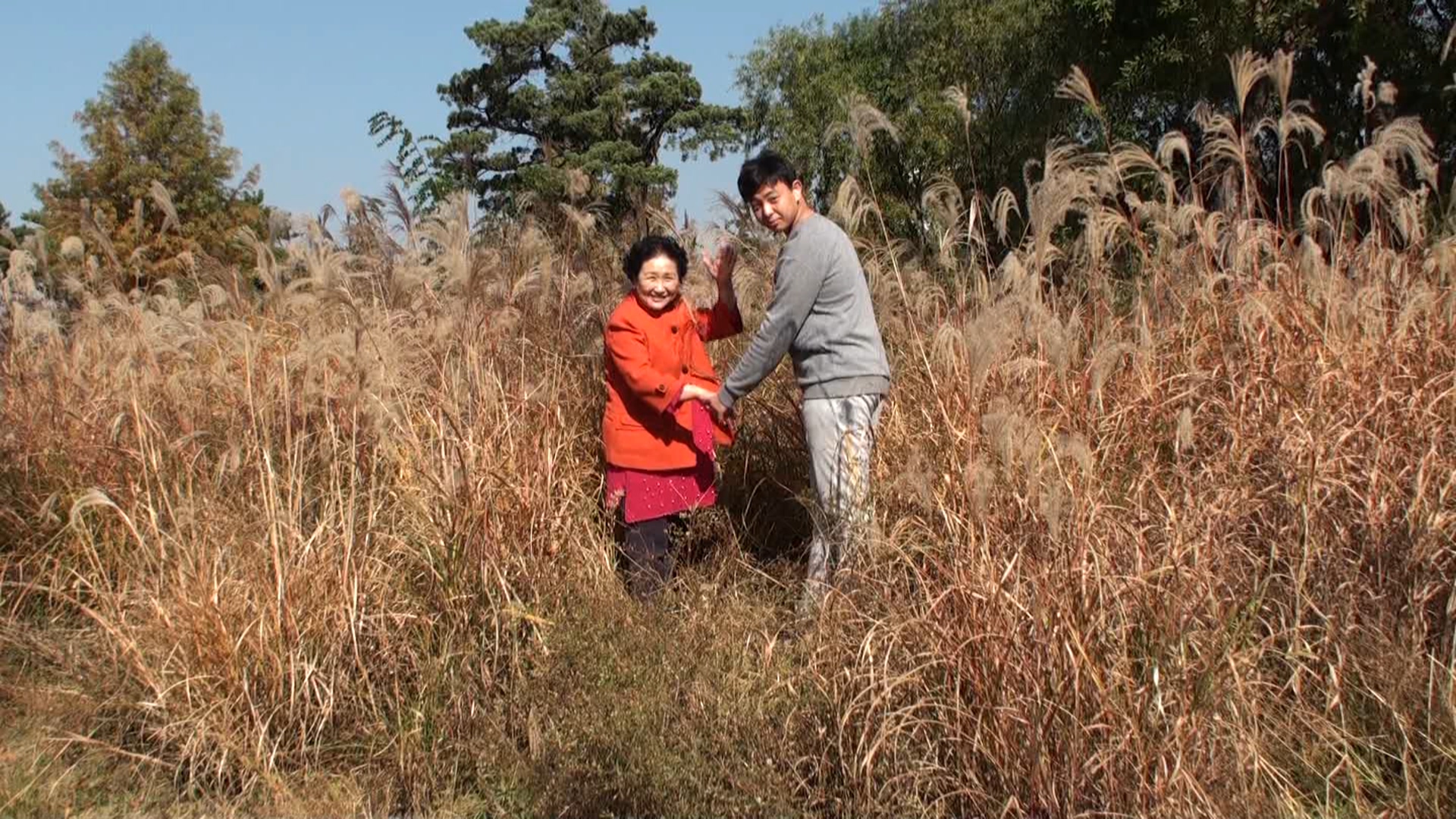 우리 하람이를 위한 할미의 편지