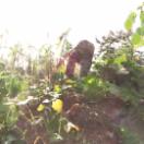 StillCut_0