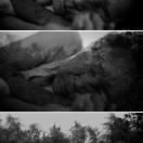 StillCut_0