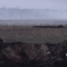 StillCut_6