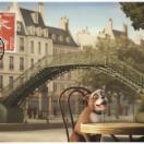 StillCut_15