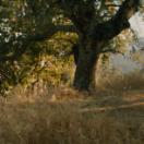StillCut_5