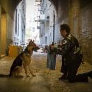 StillCut_10