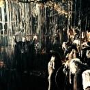 StillCut_13
