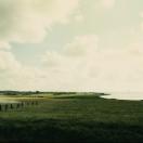 StillCut_12