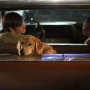 StillCut_5