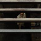 StillCut_1