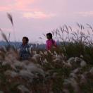 StillCut_5