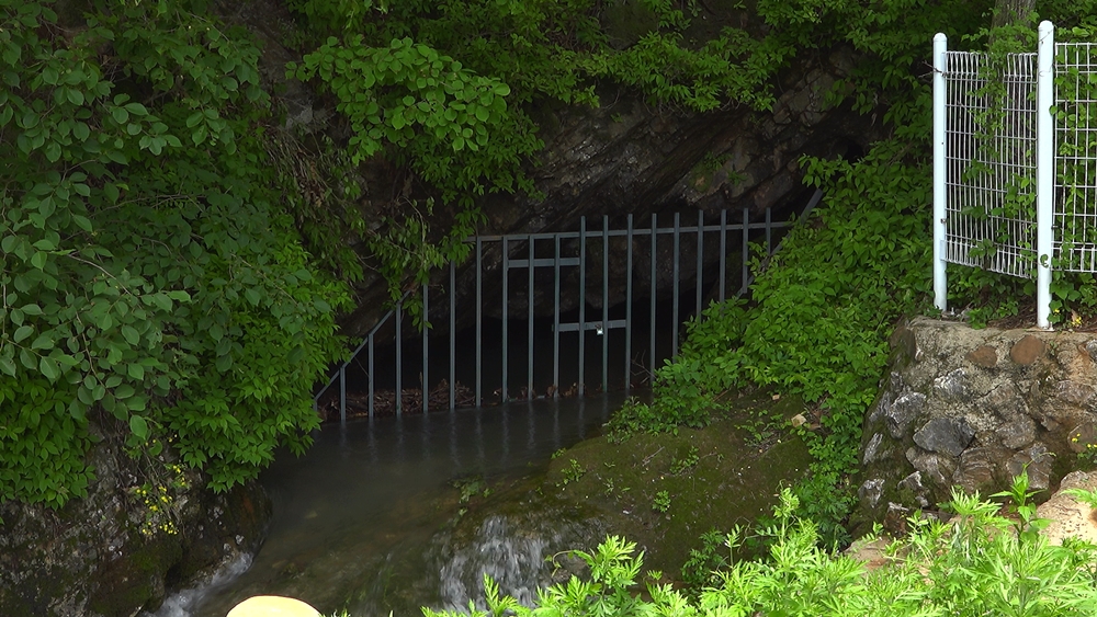 산나리