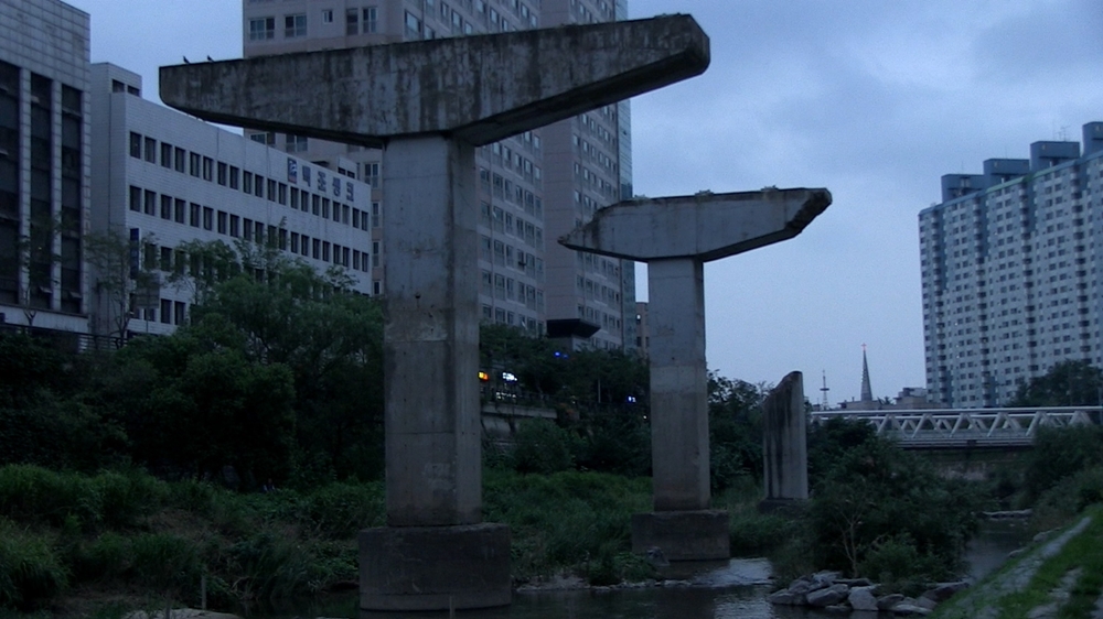 거대 생명체들의 도시