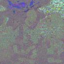 StillCut_0