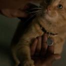 StillCut_13