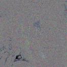 StillCut_2