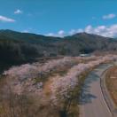 StillCut_9
