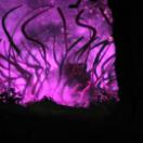 StillCut_8