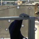 StillCut_1