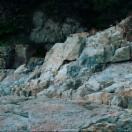 StillCut_2