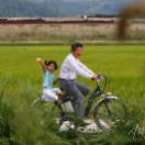 StillCut_5