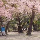 StillCut_12