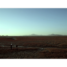 StillCut_1