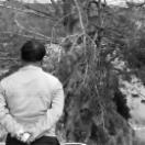 StillCut_2