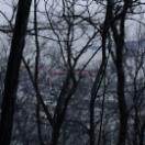 StillCut_1