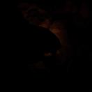 StillCut_1