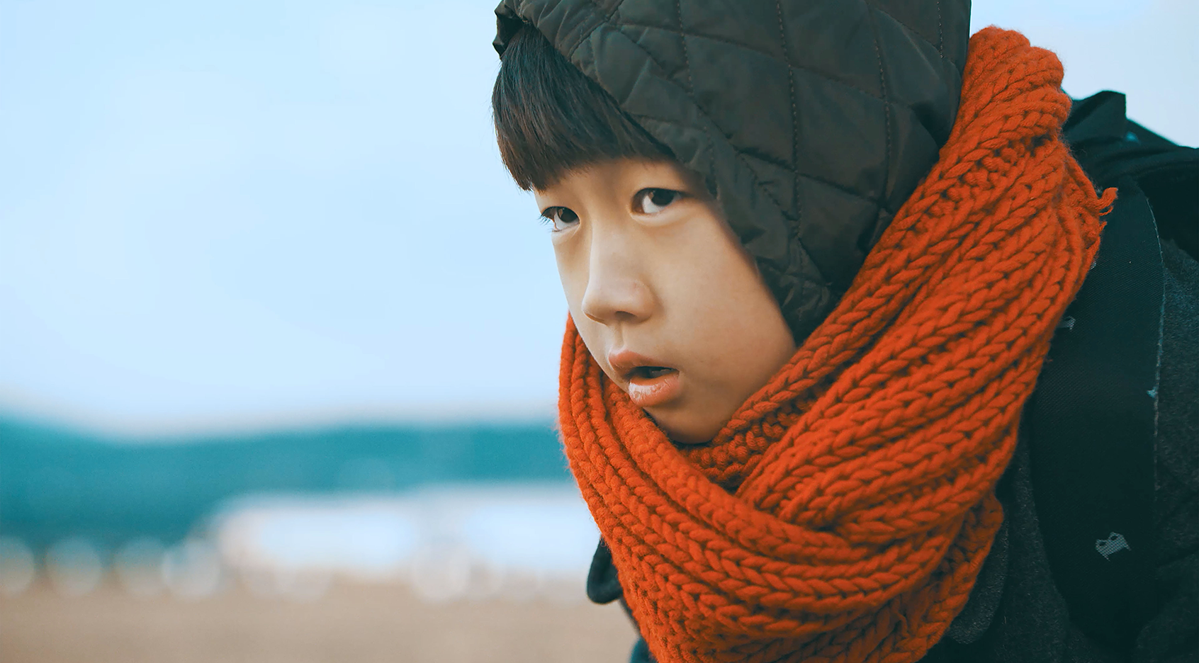 서정의 세계