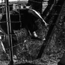 StillCut_0