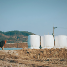StillCut_5